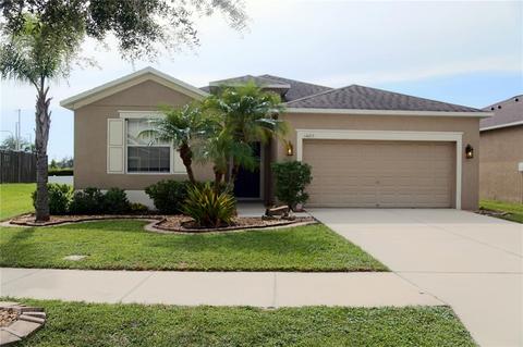 14015 Hollow Leaf Pl, Riverview, FL 33579 photo 1