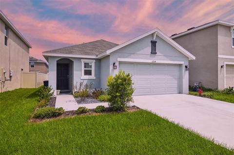 12114 Water Ash Pl, Riverview, FL 33569 photo 1