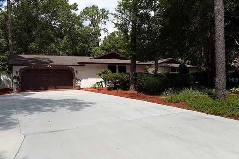 16102 Darnell Rd, Lutz, FL 33549 photo 1