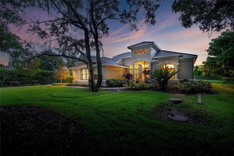 19606 Eagle Crest Dr, Lutz, FL 33549 photo 1