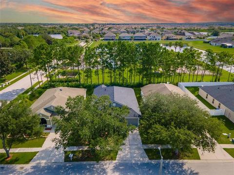 13304 Evening Sunset Ln, Riverview, FL 33579 photo 1
