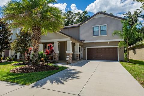 11807 Twilight Darner Pl, Riverview, FL 33569 photo 1