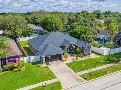 12412 Windswept Ave, Riverview, FL 33569 photo 1