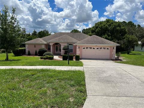 13490 Bruni Dr, Spring Hill, FL 34609 photo 1