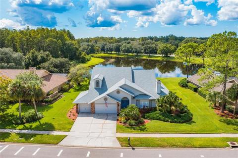 6407 Thoroughbred Loop, Odessa, FL 33556 photo 1