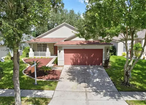 11018 Laurel Brook Ct, Riverview, FL 33569 photo 1