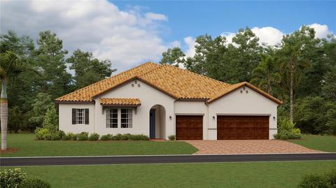 5333 Windy Grove Dr, Wimauma, FL 33598 photo 1