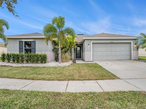 5451 Sandy Shell Dr, Apollo Beach, FL 33572 photo 1