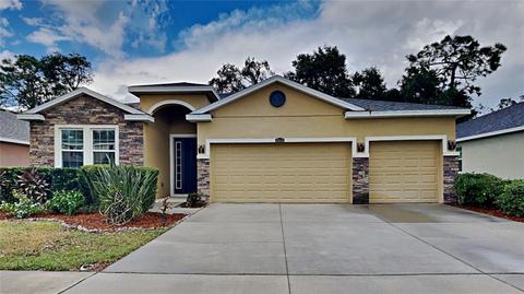 10414 Pleasant Spring Way, Riverview, FL 33578 photo 1