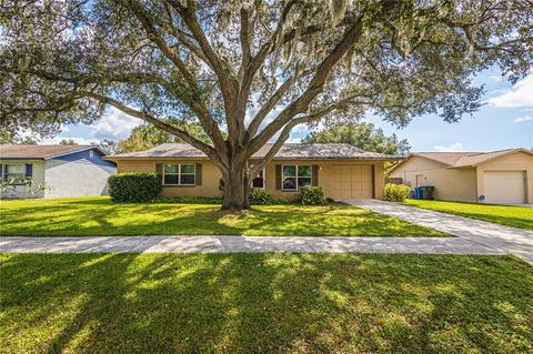 610 Avocado Dr, Seffner, FL 33584 photo 1