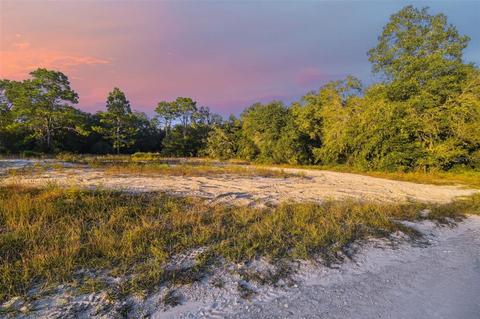 Cleft Rock Street, Webster, FL 33597