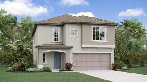 9918 Jackfruit Ct, Riverview, FL 33578 photo 1