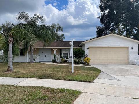 731 Sailfish Dr, Brandon, FL 33511