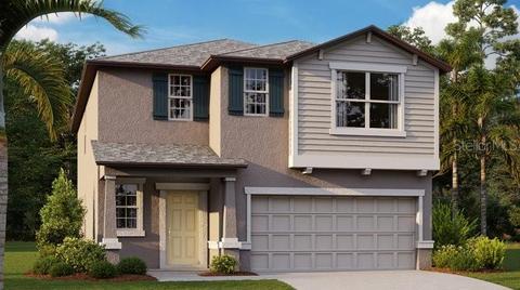 9922 Jackfruit Ct, Riverview, FL 33578 photo 1