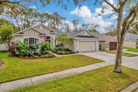 6917 Potomac Cir, Riverview, FL 33578 photo 1