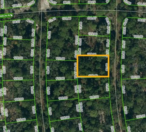 232 Rainbow Dr, Lake Placid, FL 33852
