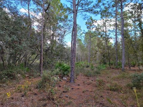 Lot 21 Hardeman Junction, Weeki Wachee, FL 34614