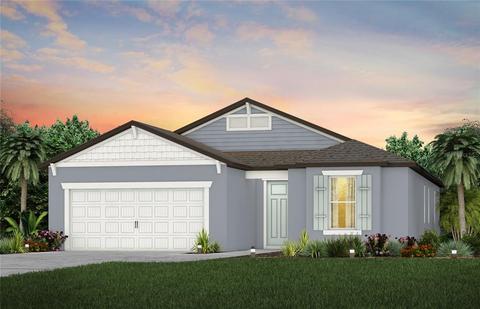14134 Samoa Hill Ct, Riverview, FL 33569 photo 1