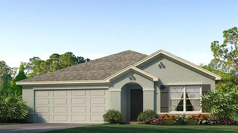 16628 Windmill Forge Pass, Wimauma, FL 33598 photo 1