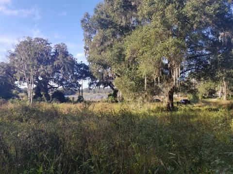 0 Spring Valley Rd, Dade City, FL 33523