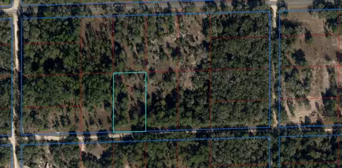 Tbd NW 78th Lane, Bronson, FL 32621