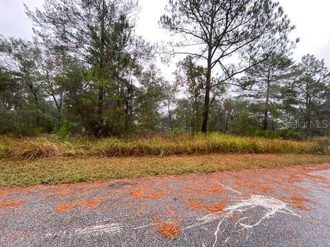 3097 W Kirkwood Pl, Citrus Springs, FL 34433