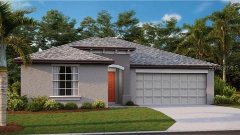 12850 Tripoli Ave, Riverview, FL 33579 photo 1