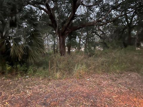 534 Waterfall Dr, Spring Hill, FL 34608 photo 1
