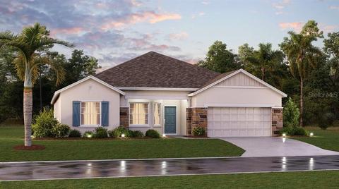 5360 Basalt Dr, Mount Dora, FL 32757 photo 1
