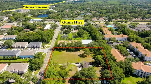 12853 Olive Jones Rd, Tampa, FL 33625