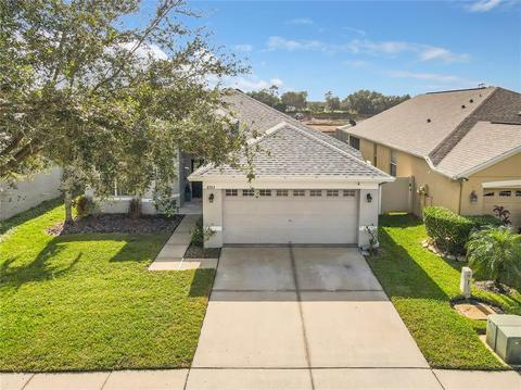 8903 Sandy Plains Dr, Riverview, FL 33578 photo 1