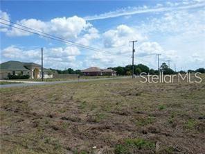 2510 Crestview Rd, Wimauma, FL 33598 photo 1