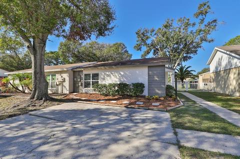 13313 Laraway Dr, Riverview, FL 33579 photo 1