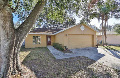 13647 Laraway Dr, Riverview, FL 33579 photo 1