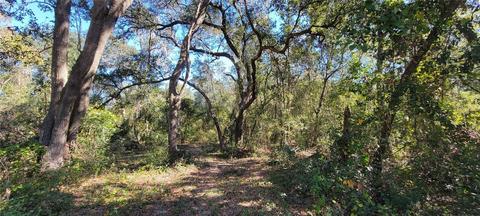 Sydney Washer Rd, Dover, FL 33527