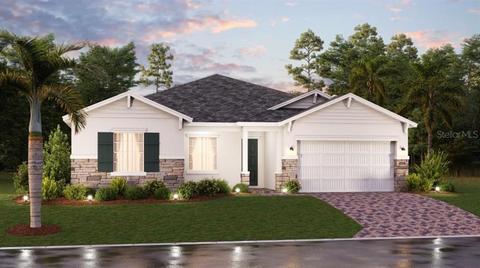 5319 Basalt Dr, Mount Dora, FL 32757 photo 1