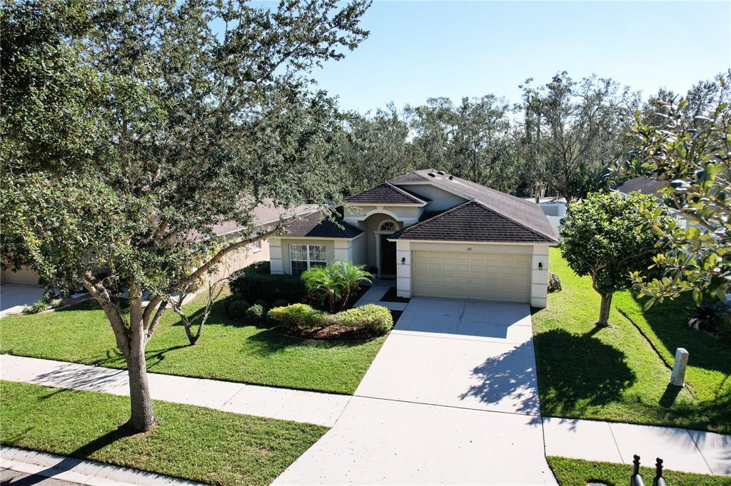 415 Down Pine Dr, Seffner, FL 33584 photo 1