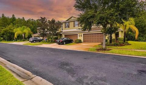 20227 Indian Rosewood Dr, Tampa, FL 33647