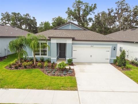 2867 Dolores Home Ave, Valrico, FL 33594