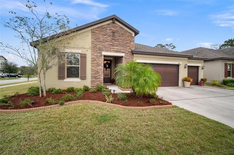 11846 Cross Vine Dr, Riverview, FL 33579 photo 1