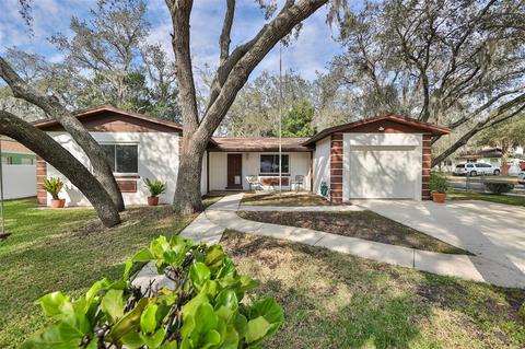 1002 Pinegrove Dr, Brandon, FL 33511 photo 1