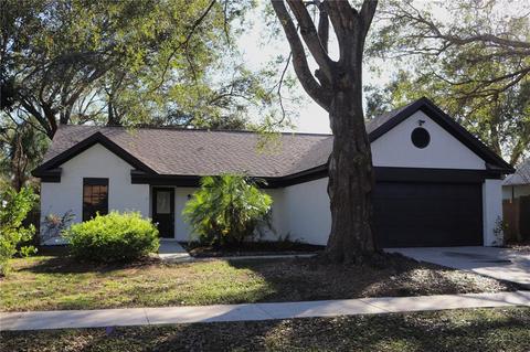 855 Sunridge Point Dr, Seffner, FL 33584 photo 1
