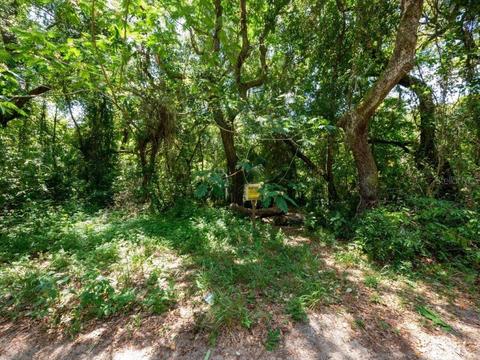 SE 155th Street, Umatilla, FL 32784