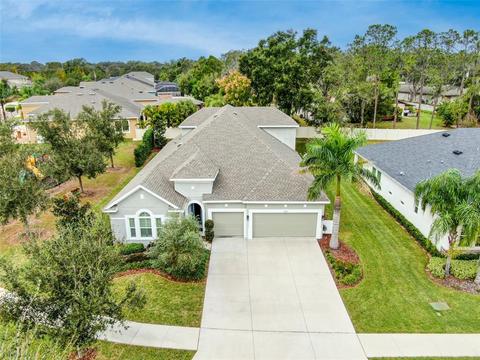 1129 Tracey Ann Loop, Seffner, FL 33584 photo 1