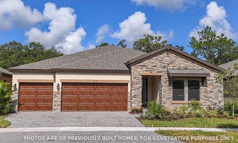12751 Bergstrom Bay Dr, Riverview, FL 33579 photo 1
