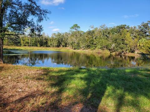 2424 Wallace Rd, Lutz, FL 33549