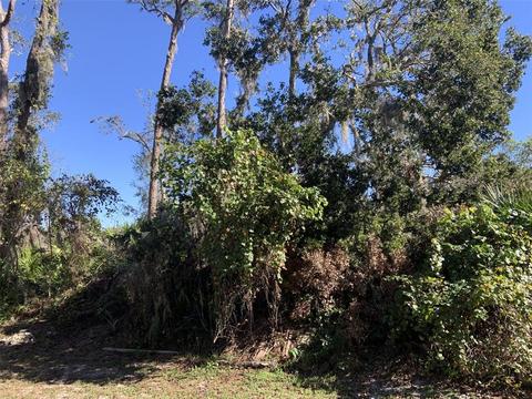 324 Bottlebrush Ave, Lake Placid, FL 33852