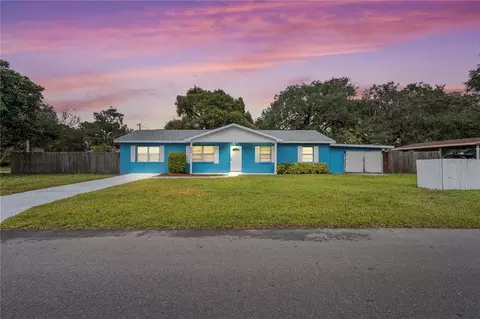 402 Palm Ave, Seffner, FL 33584 photo 1