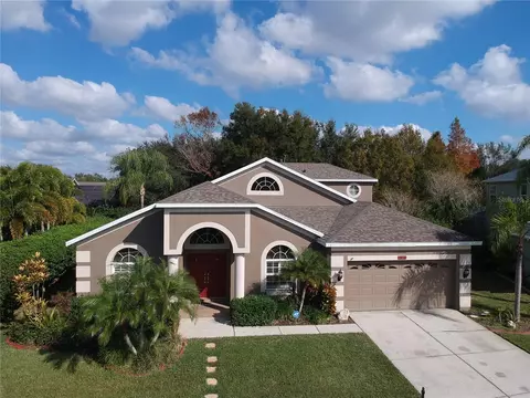 1938 Alecost Ct, Trinity, FL 34655