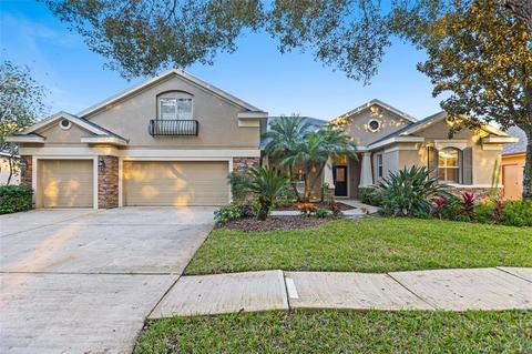 6108 Ibispark Dr, Lithia, FL 33547 photo 1